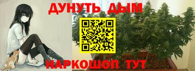 jwh Ставрополь