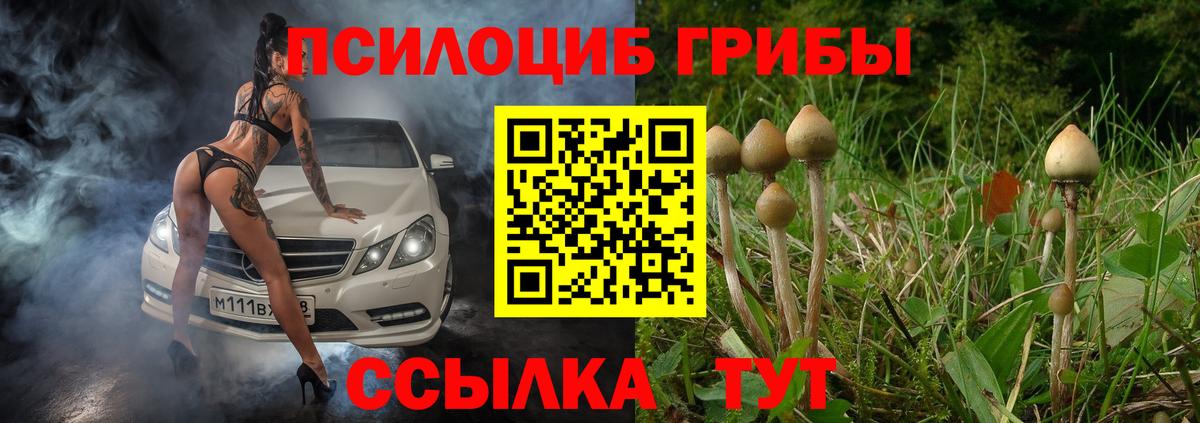 Белебей  Галлюциногенные грибы мухоморы  Вход с VPN 