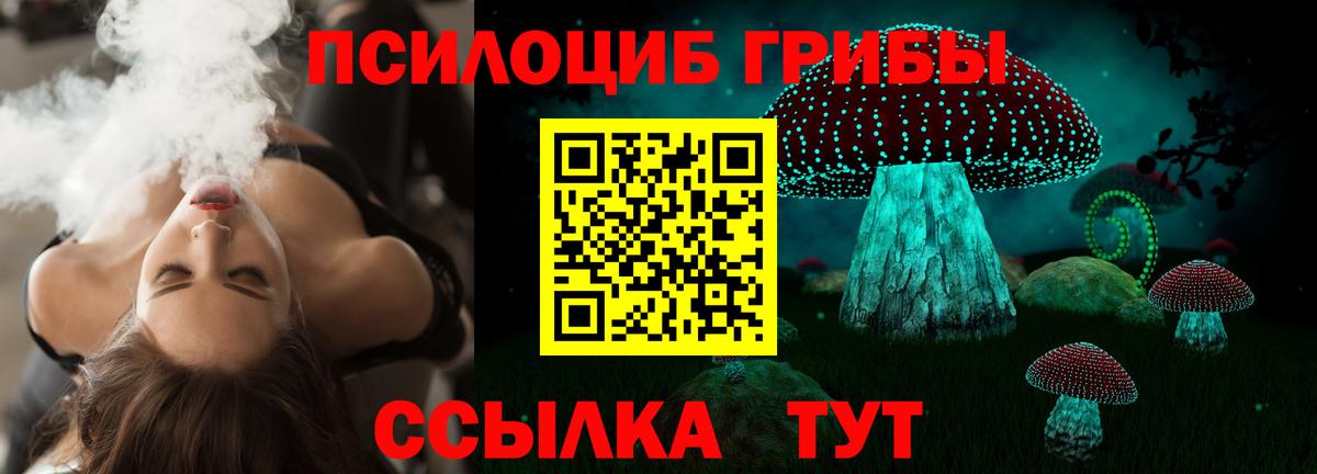 Псилоцибиновые грибы мицелий Белебей